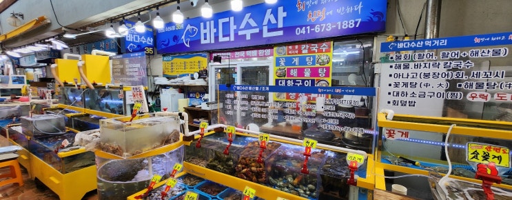  안면도수산시장 회포장 명소, 안면도바다수산에서 맛보는 싱싱한 횟감