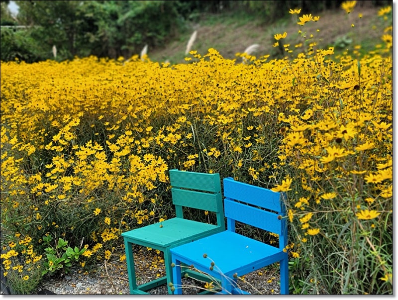 모인