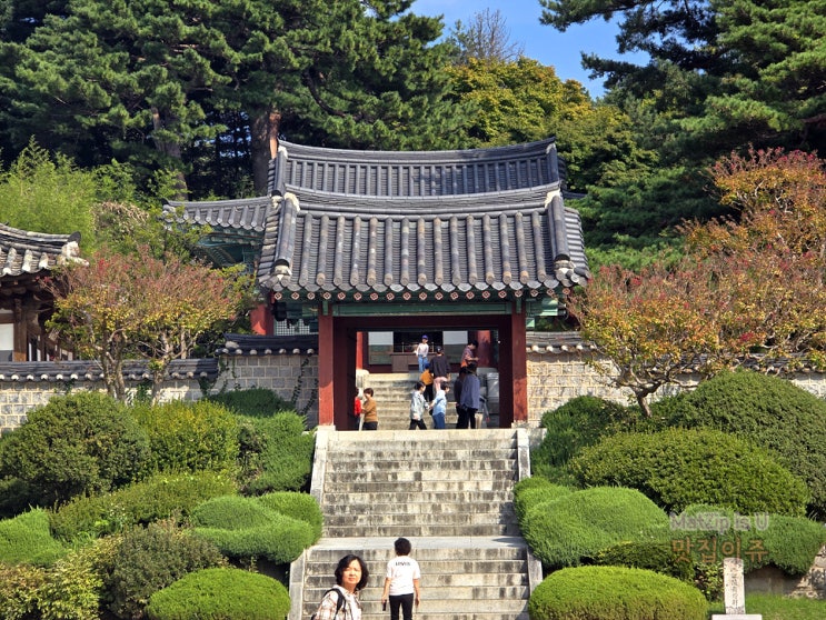  강원도 강릉여행 3부 속초중앙시장 생선조림맛집, 오죽헌
