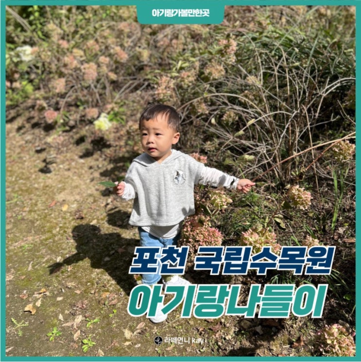  주차예약 필수인 포천 국립수목원 사전 예약방법 및 23개월 아기랑 데이트!