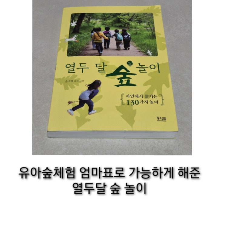 유아숲체험 엄마표로 가능하게 해준 열두 달 숲 놀이 책