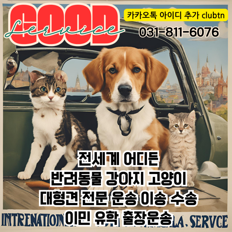  강아지 고양이 개 출국 입국 국제 건강증명서 반려동물 출국 서류 건강증명서 검역증명서 서비스 Dog Cat International Health Certificate Service