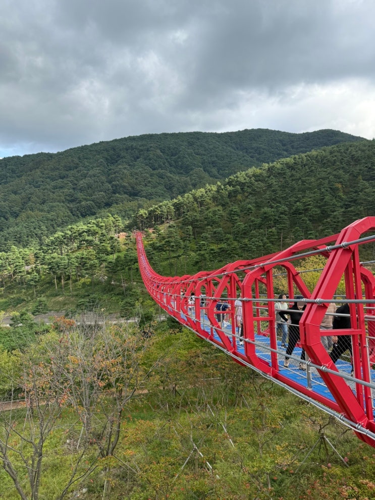  경남 산청 무릉교 출렁다리