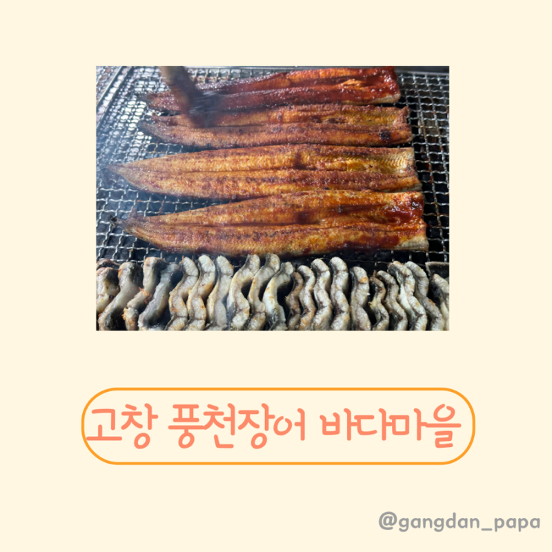 고창 바다마을장어구이 풍천장어 장어구이 아기랑 동호해수욕장맛집