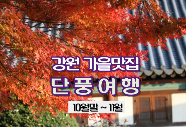  강원도_가을 맛집! 강원 단풍여행
