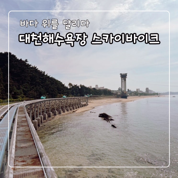  대천 레일바이크 스카이바이크 예약 불가 현장발권 후 탑승후기