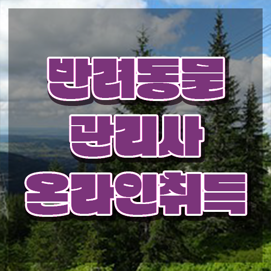  반려동물 생활관리사 , 반려동물관리사 자격증 비용없이 온라인으로 합격한 비법 및 활용 방법