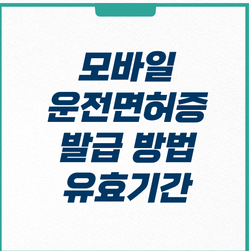  모바일 운전면허증 발급 방법, 비용, 유효기간