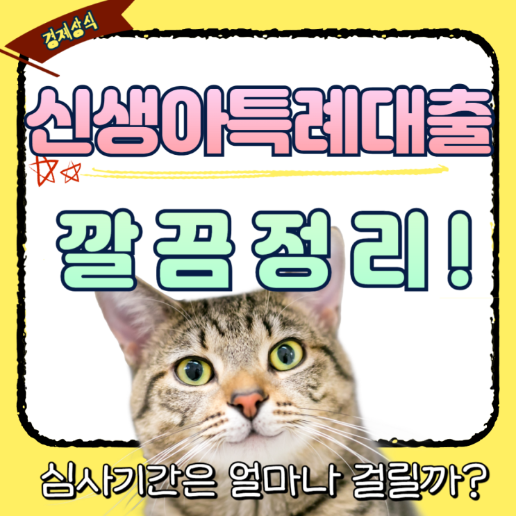  신생아특례대출 평수와 우대금리, 심사기간 얼마나 걸릴까?