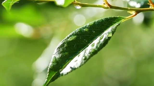  피부자격증기출문제 , 피부미용교육지도사 자격증 독학으로 취득한 노하우 최신정보 공유