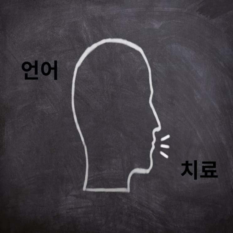  언어재활사의 역할(하는 일)/ 근무장소 및 근무환경/치료대상