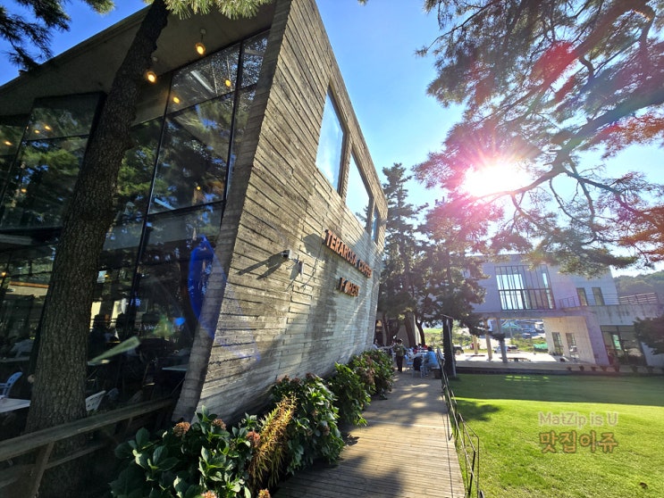  강원도 강릉여행 1부 금돈, 테라로사 사천점, 사천해변