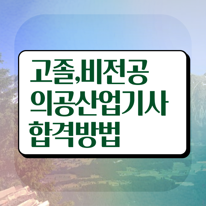  의공산업기사 교육 의공산업기사 시험응시조건 온라인 과정으로 간편하게 끝낸 전략