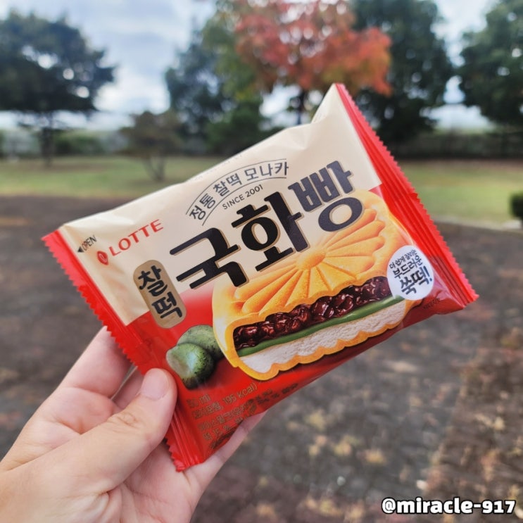 롯데 국화빵 찰떡 가격 및 칼로리 내돈내산 리뷰