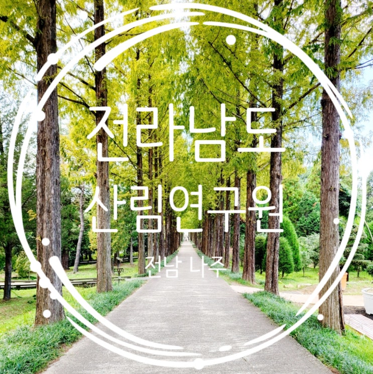  전남 나주 가볼만한곳 메타세콰이어길 산림자원연구소 방문후기