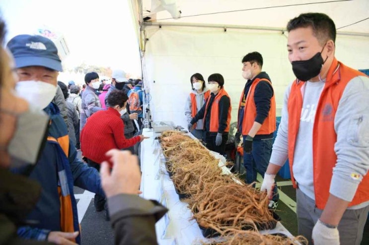  파주개성인삼축제 2024 기본정보 I 파주 임진각 평화누리