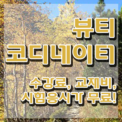  스타일리스트자격증학원 , 뷰티코디네이터 자격증 온라인으로 쉽게 취득했던 후기 알아보기