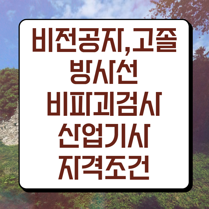  방사선비파괴검사산업기사 응시자격 인강만 듣고 간편하게 준비한 노하우