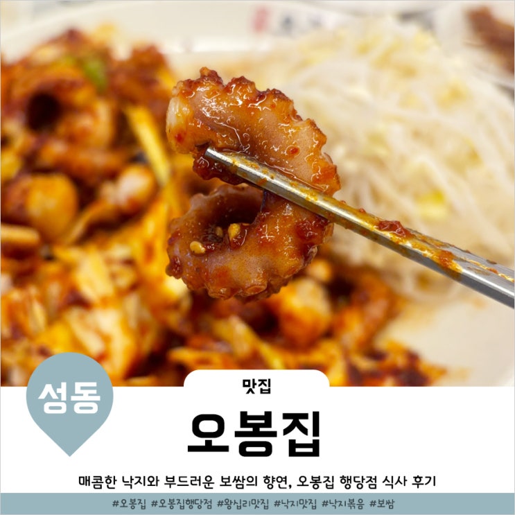  행당동맛집 회식은 물론 점심까지 가성비좋은 오봉집행당점