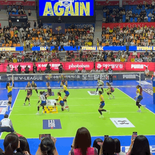 24-25 시즌 V리그 241019 개막 <b>현대건설</b>:<b>흥국생명</b> (1:3 <b>흥국</b>... 