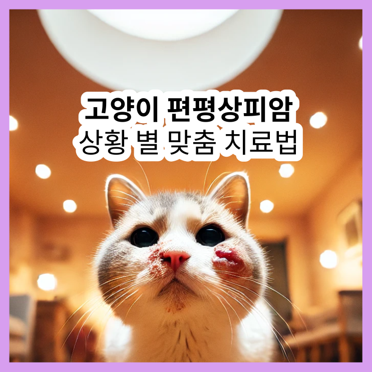  고양이 편평상피암 진단, 꼭 알아야 할 상황별 맞춤 치료법!
