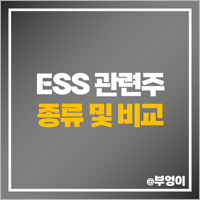 ESS 관련주 비나텍 주가 캐리 삼진엘앤디 비츠로셀 와이엠텍 주식 ESS 관련주 비나텍 주가 캐리 삼진엘앤디 비츠로셀 와이엠텍 주식