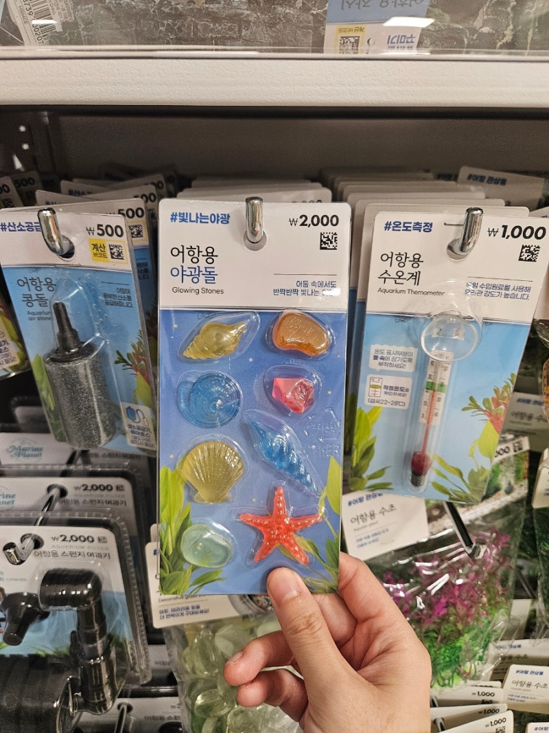홈플러스 강서점 3층 다이소 신규오픈 방문 후기