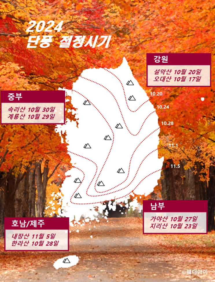  [2024년] 단풍예상 시기, 절정시기 그리고 개인적으로 생각하는 단풍명소!