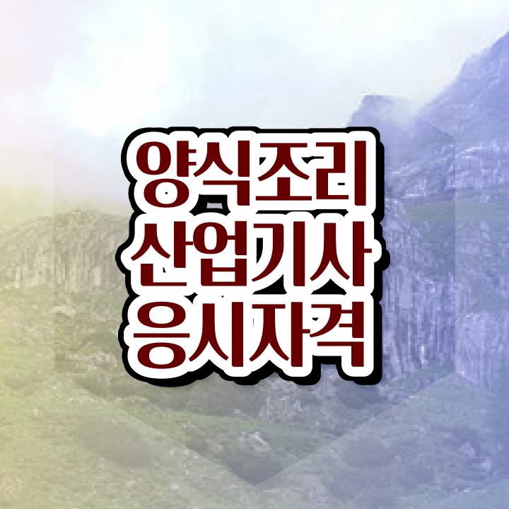  양식조리산업기사 필기 접수 양식조리산업기사 응시조건 독학으로 단기간에 끝낸 전략