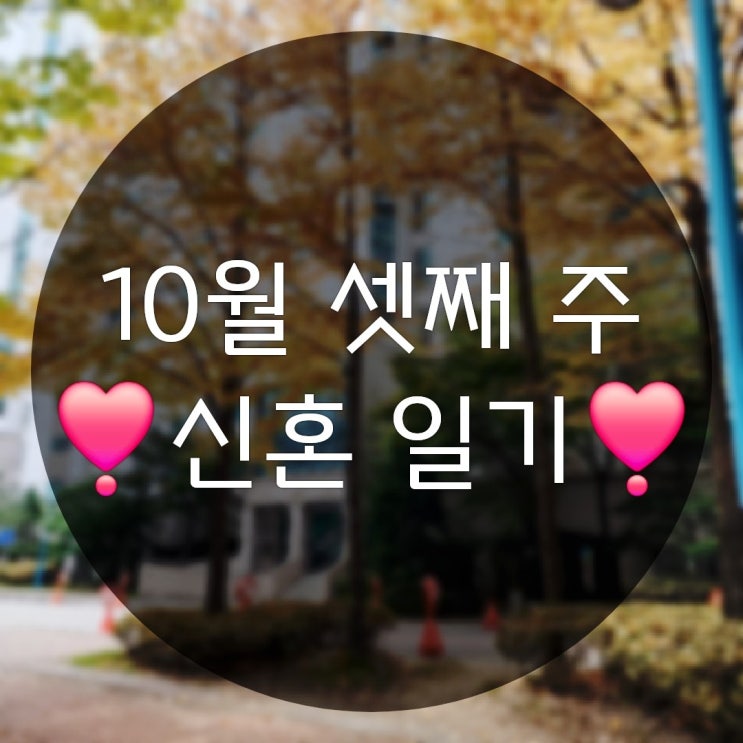 10월 셋째주의 일상기록(춘천헤레이스미용실 삼성무빙스타일43인치구매)