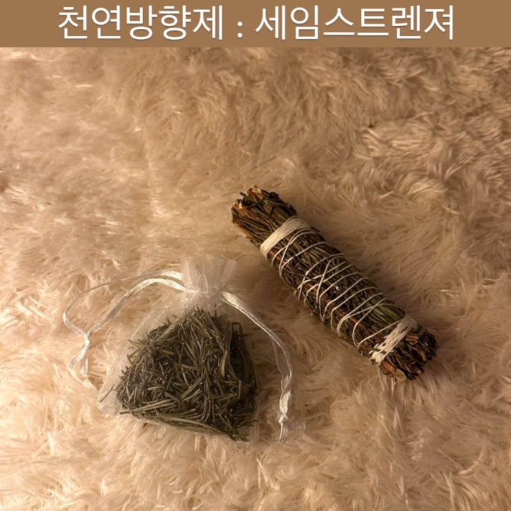  세임스트랜져 [로즈마리 스틱] - 천연 방향제, 불면증 완화, 집들이 선물 추천, 결혼 선물 추천