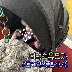 출산용품준비 _ 디럭스 유모차 스토케 익스플로리 V6 당근후기