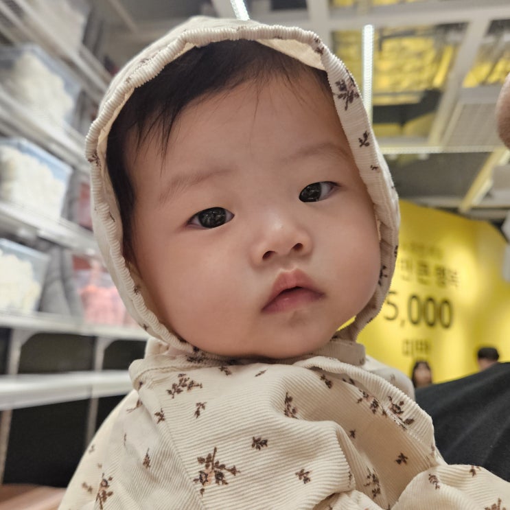  223일 -  229일 7개월 배밀이 아직도 못해 언제쯤할까 이유식도 잘먹길