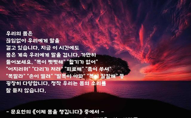 우리 우리