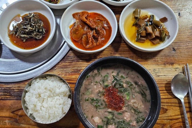제주도 표선면 몸국 가시리명문식당 로컬맛집