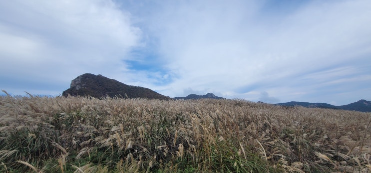  황매산 (미리내파크제1주차장-황매산정상-억새군락지-원점회귀)