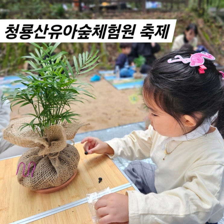  관악구 유아숲 가족축제 후기 청룡산유아숲체험원 서울시공공서비스 예약