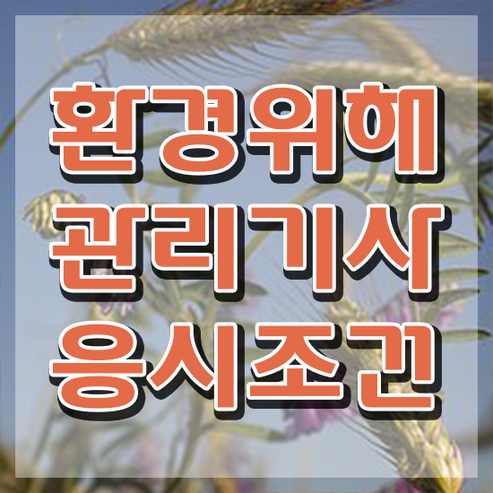  환경위해관리기사 응시자격 온라인으로 단기간에 끝낸 전략