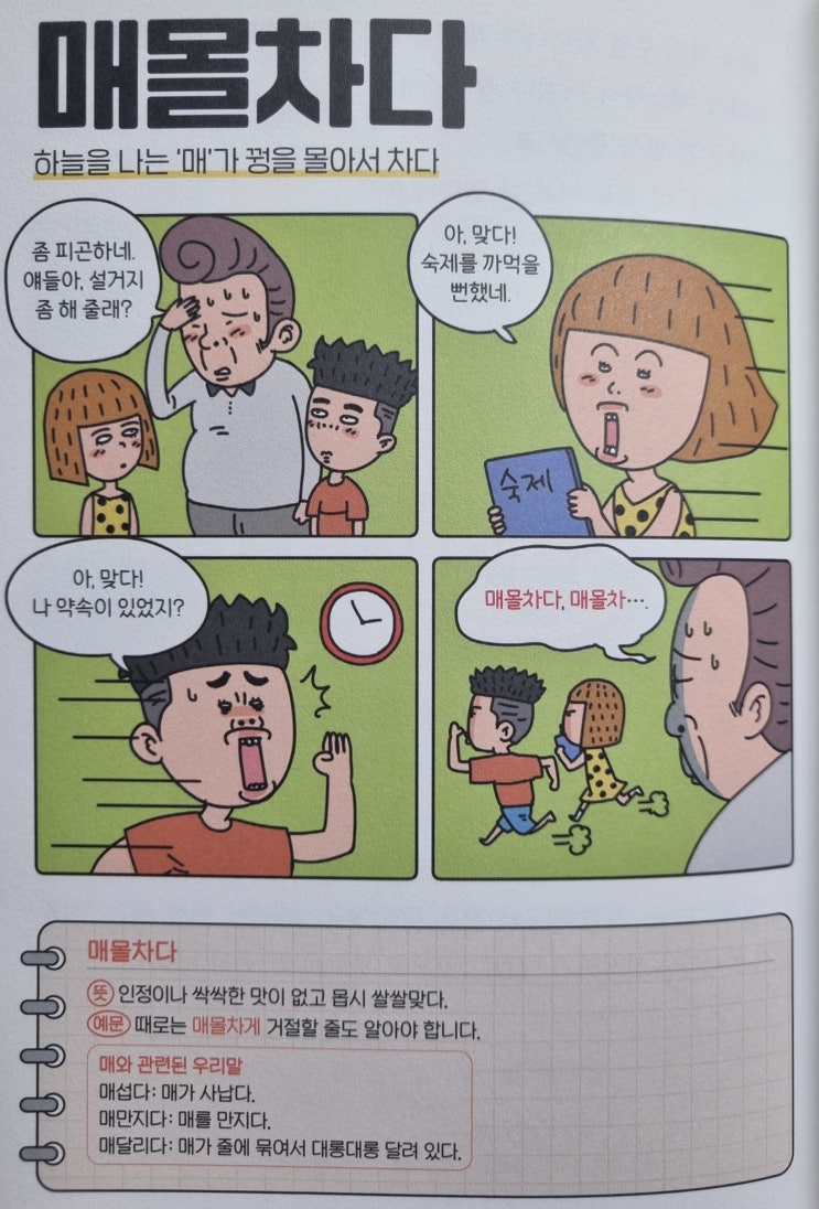 우리말 <매몰차다> 하늘을 나는 '매'가 꿩을 몰아서 차다