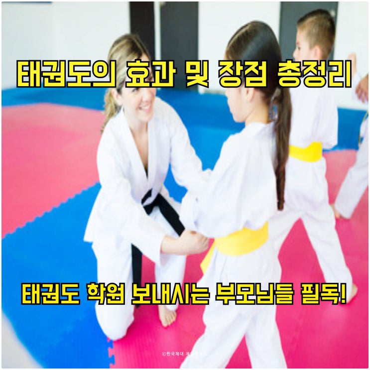  태권도로 얻을 수 있는 효과 및 장점 총정리