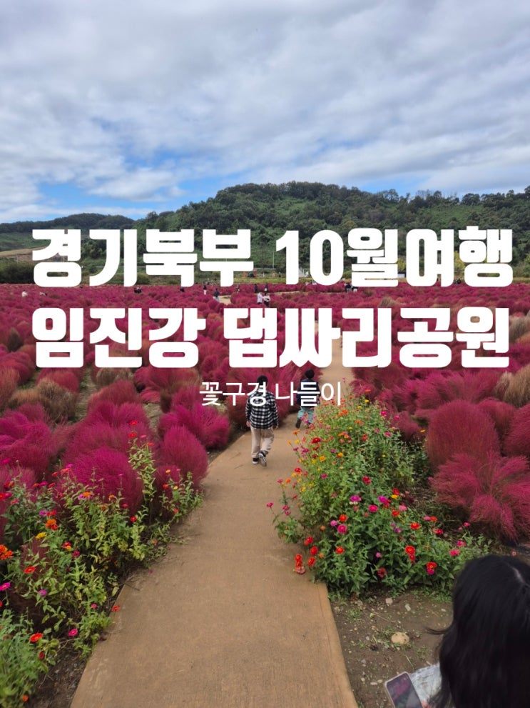  가족나들이!10월 여행지 드디어 제때 온 임진강 댑싸리공원!!