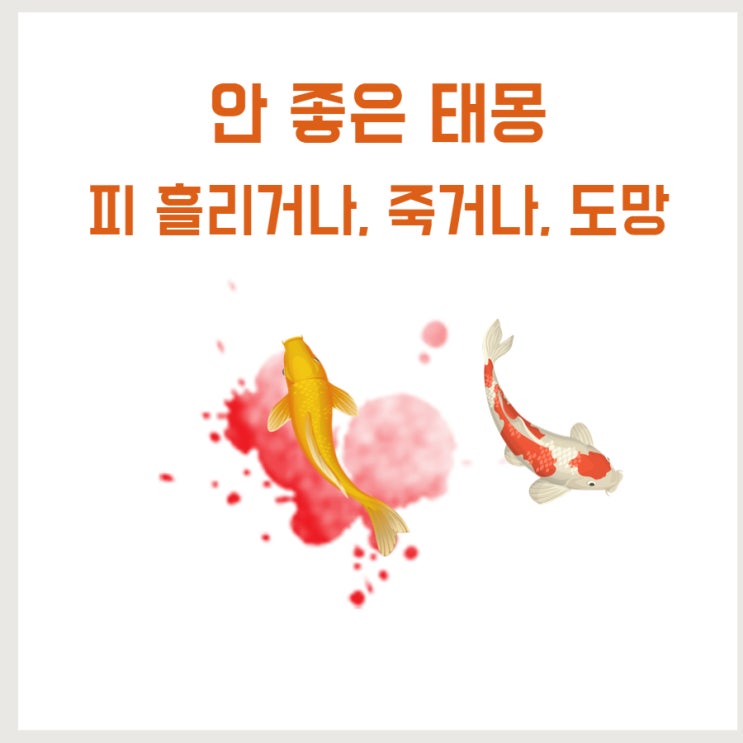  좋지 않은 태몽