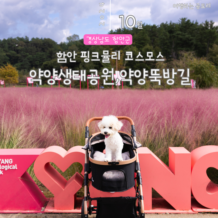  함안 악양뚝방길 악양생태공원 애견동반여행 핑크뮬리 주차장 기본 정보