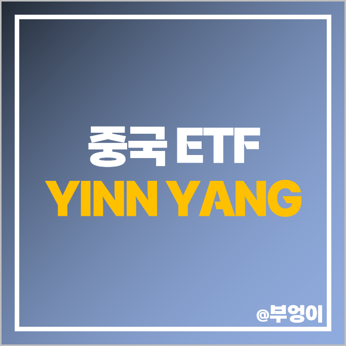 중국 ETF 3배 레버리지 YINN 인버스 YANG 주식 액면병합 중국 ETF 3배 레버리지 YINN 인버스 YANG 주식 액면병합