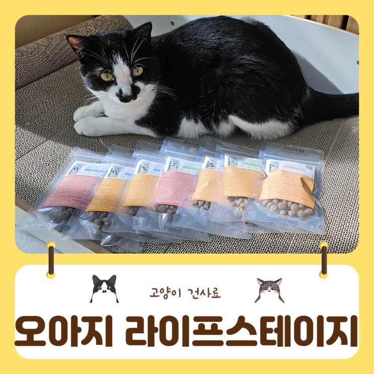  이태리에서온 영양만점 오아지 라이프스테이지 고양이건사료