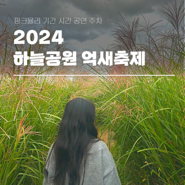  2024 하늘공원 억새축제 핑크뮬리 기간 시간 공연 주차까지