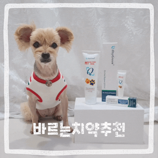  강아지 바르는치약 노견 치주염 구내염 예방 입냄새 제거 애견 치약 추천