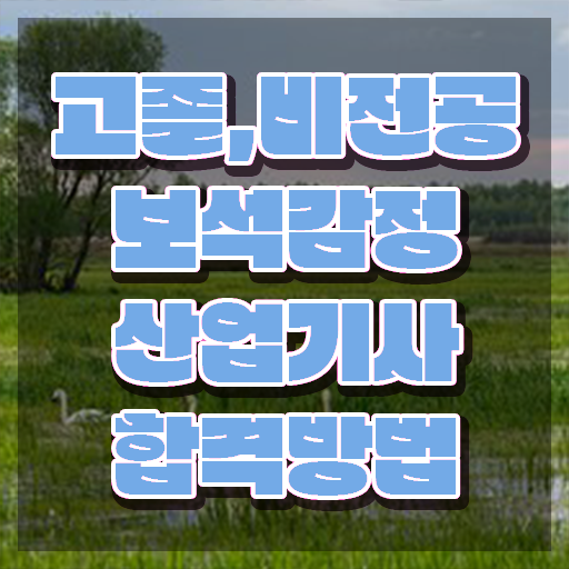  보석감정산업기사 비전공자 보석감정산업기사 응시자격 인강만 듣고 빠르게 끝낸 후기