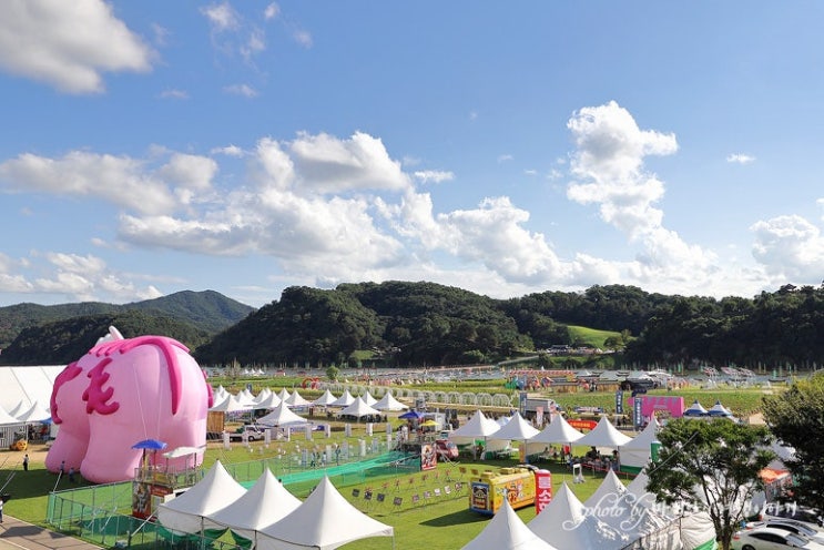  2024 공주 페스티벌 제민천 야경 축제 기본정보