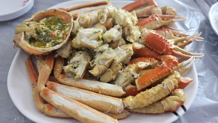  영덕 강구항 대게직판장 이오 대게 맛집